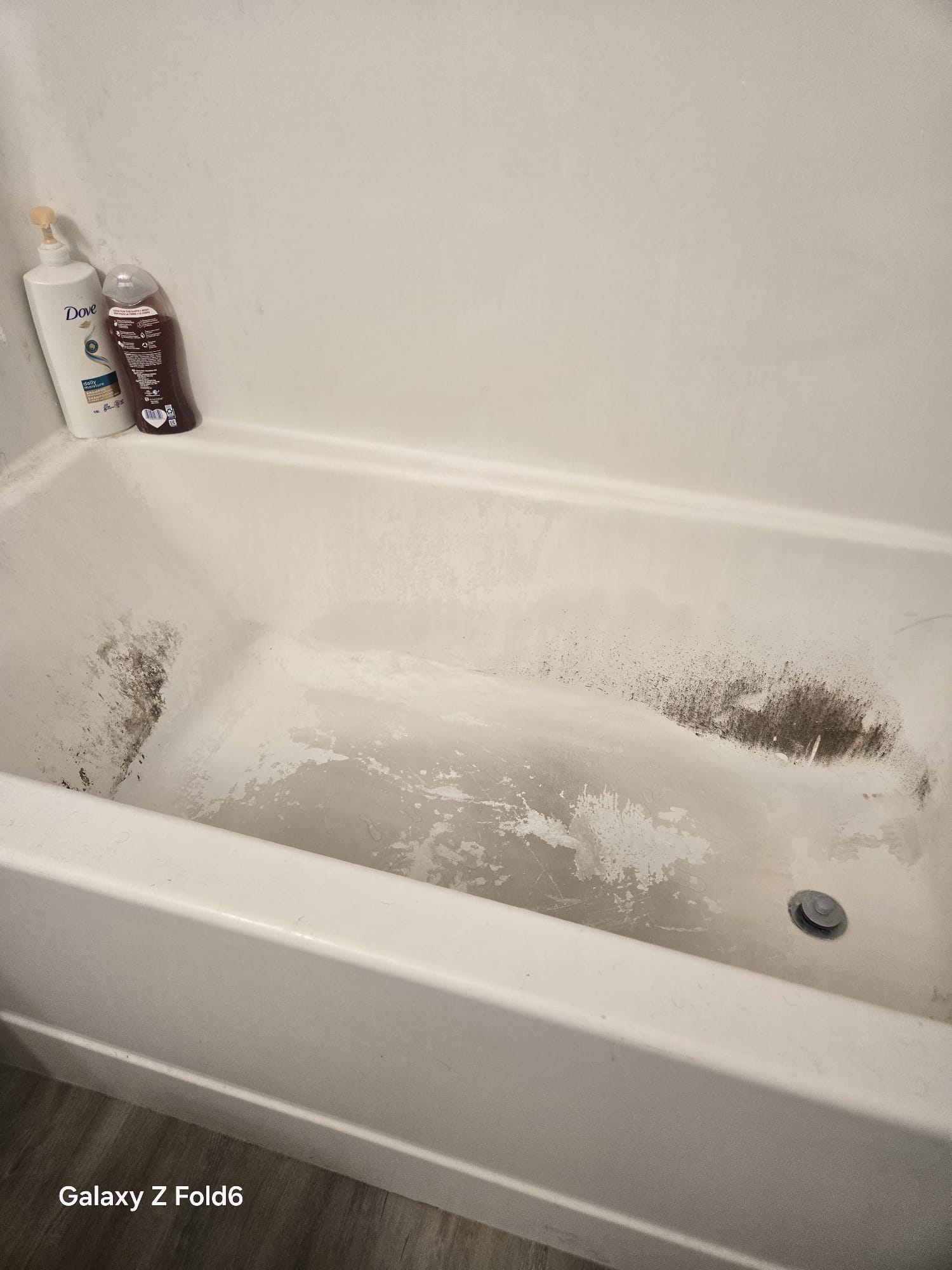 Before Cleaning